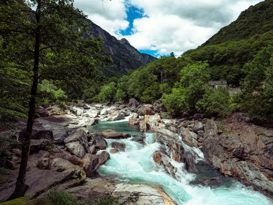 Clear mountain stream flowing over rocks through a forested North Idaho valley